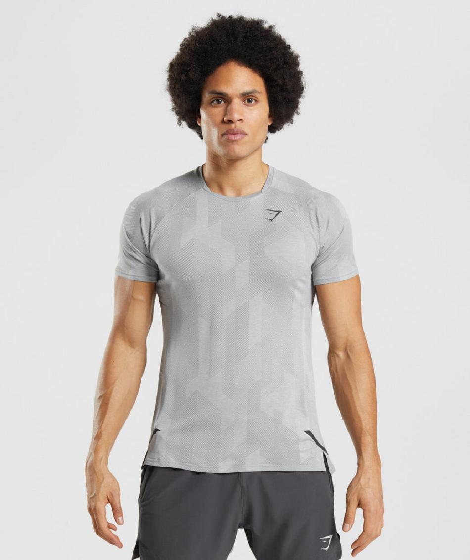 T Shirts Męskie Gymshark Apex Szare Głęboka Szare | PL 3871AHK